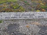 image of grave number 809993